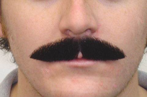 Costume Accessory Moustache Gable Black Realistic Deluxe