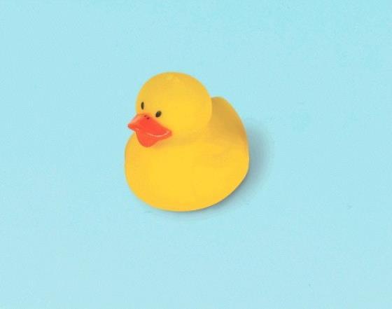 Value Favours Rubber Ducky