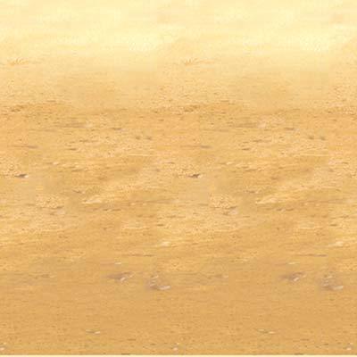 Desert Sand Backdrop 1.2x9m - Last Chance