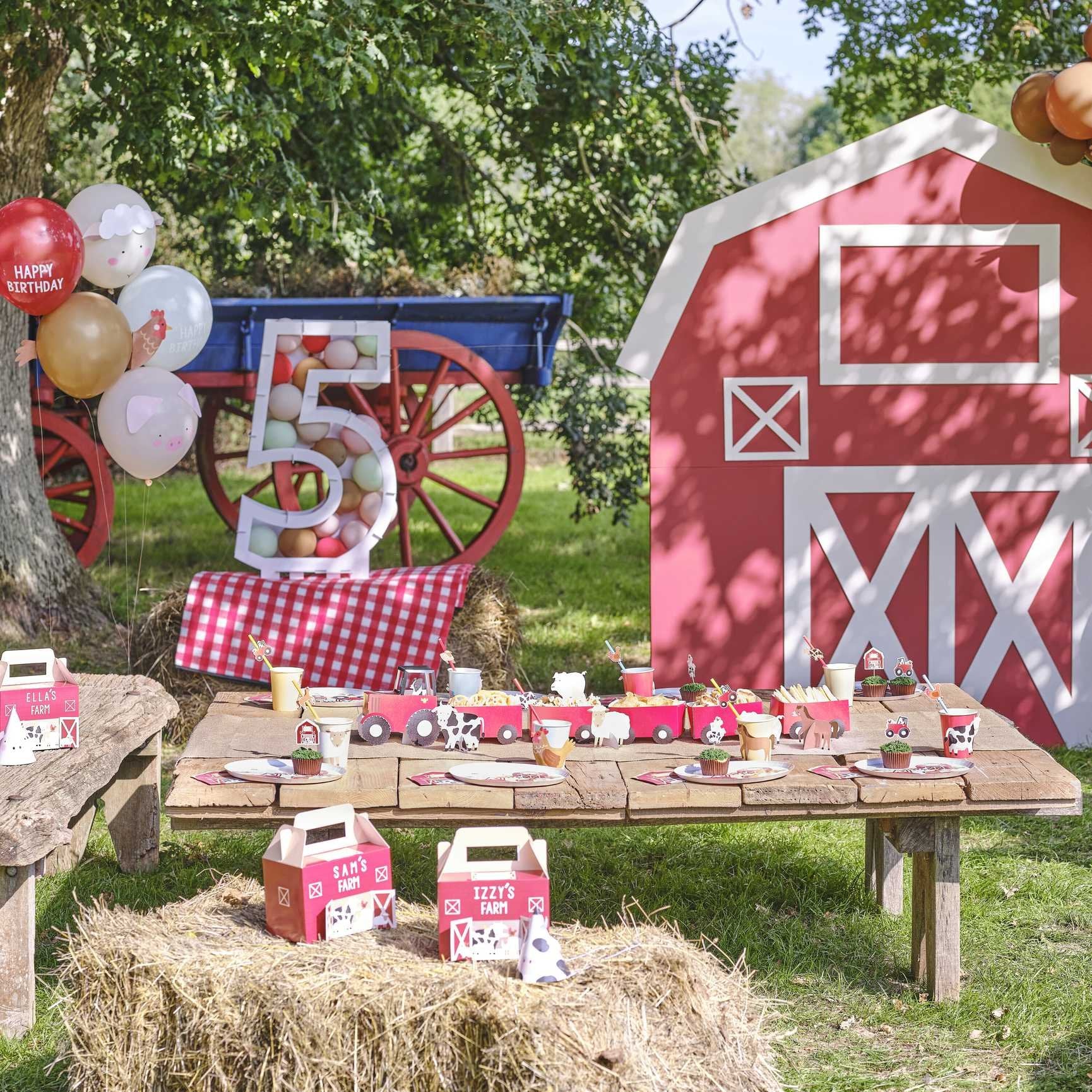 Farm Friends Customisable Barn Party Box Pk 5