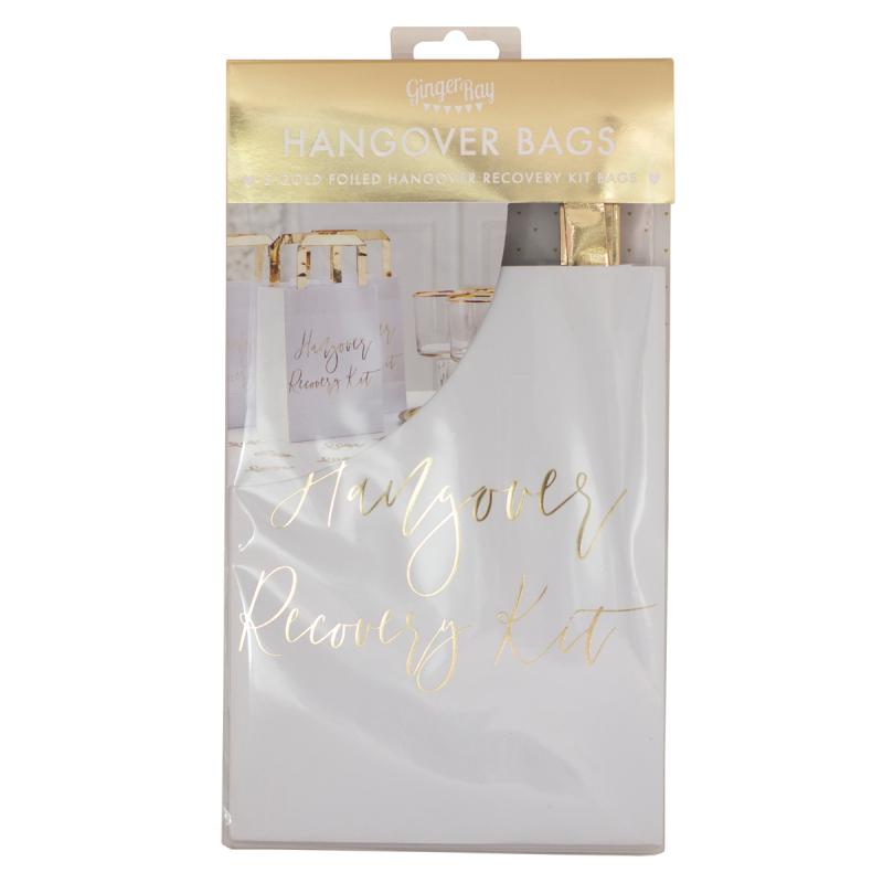 Bride Hen Weekend/Night Hangover Recovery Kit Party Paper Bags Pk/5