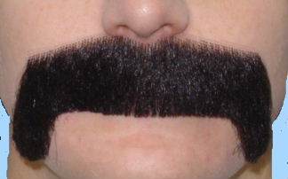 Costume Accessory Moustache Merv Black Quality Realistic