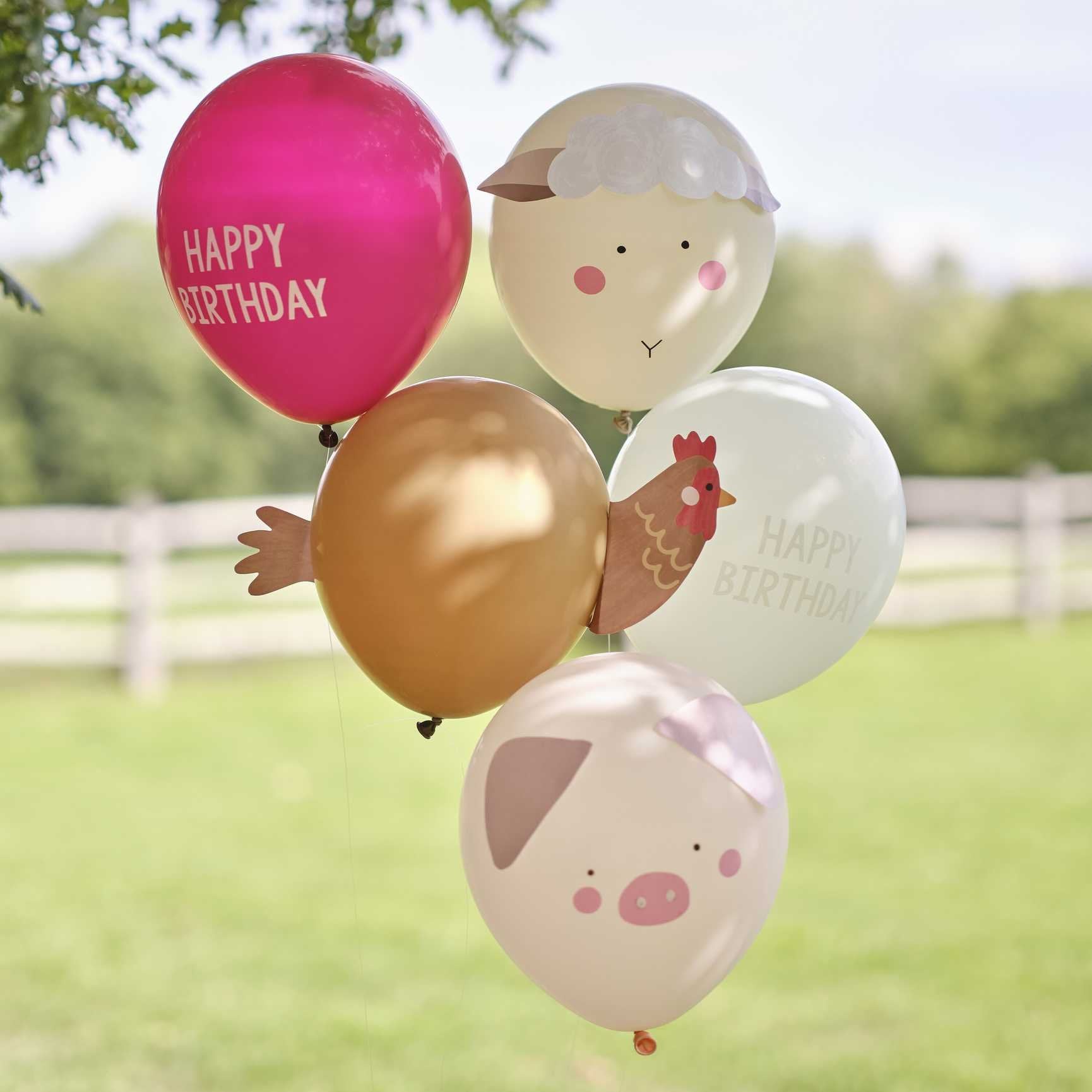 Farm Friends Birthday Balloon Party Bundle Pk 5