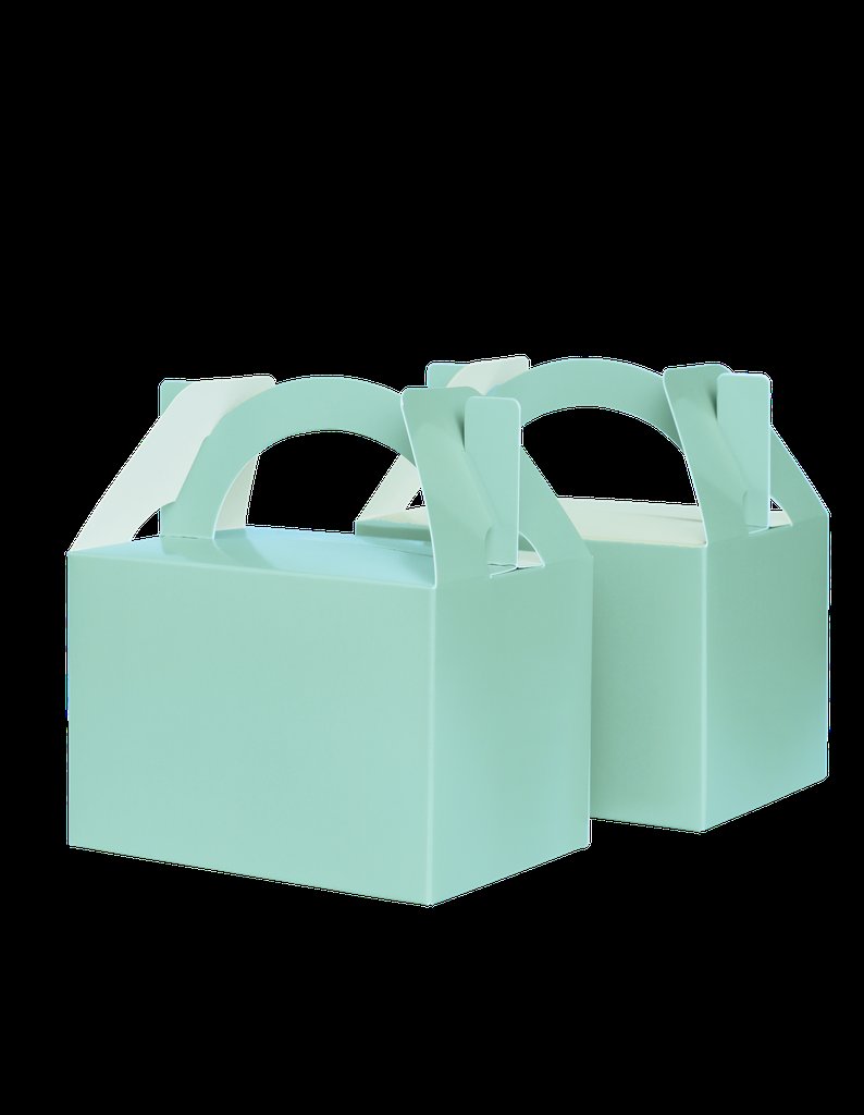 Little Lunch Box Mint Green Pk 10