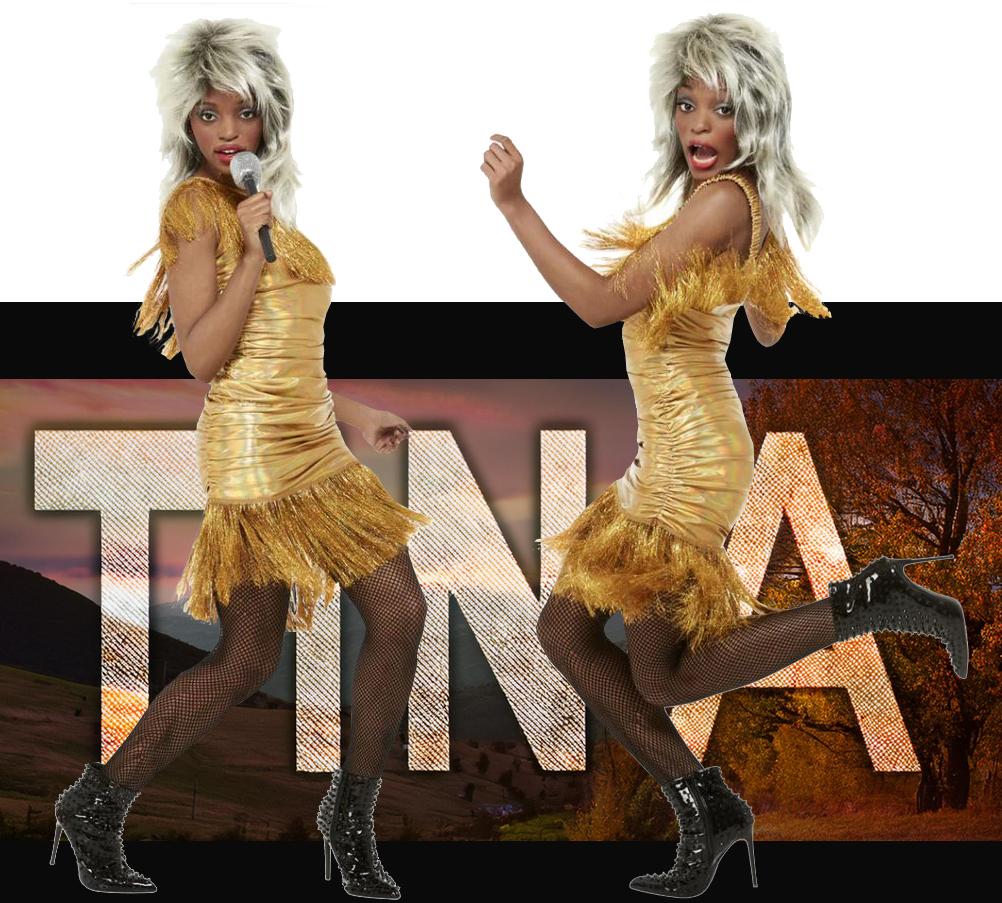 Costume Adult Simply The Best Tina