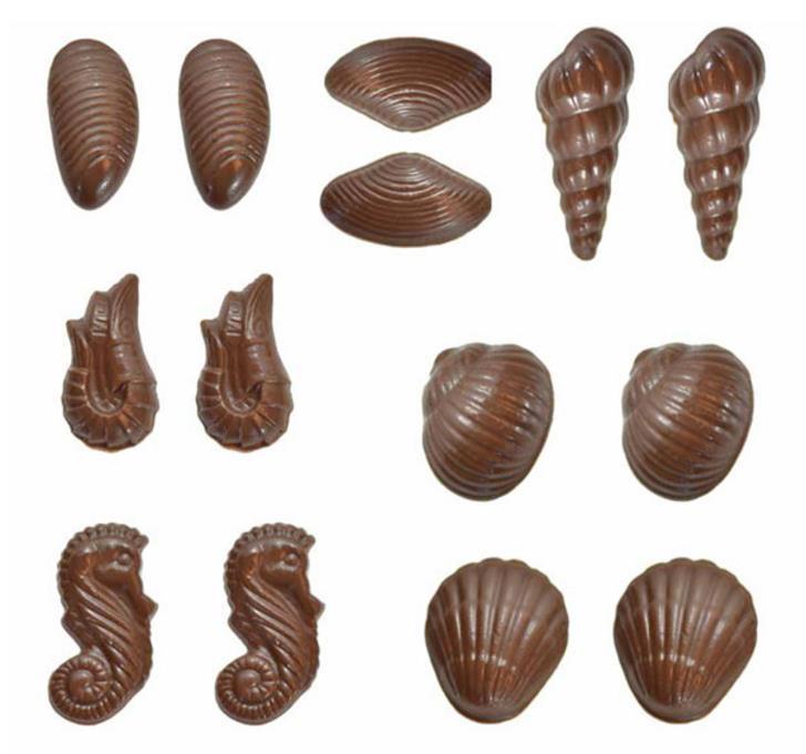 Chocolate Mould Assorted Sea Shells