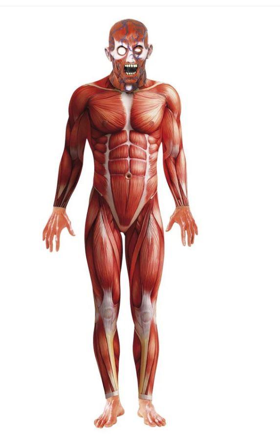 Costume Adult Anatomy Man Stretchy Suit