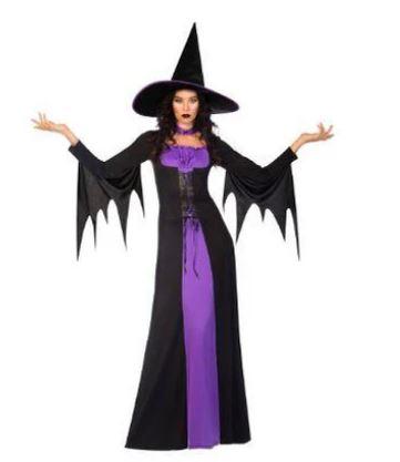 Costume Adult Classic Purple Witch