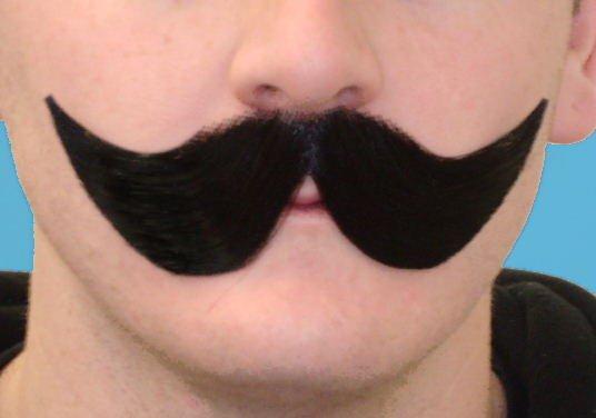 Costume Accessory Moustache Black Victorian Englishman Realistic Deluxe