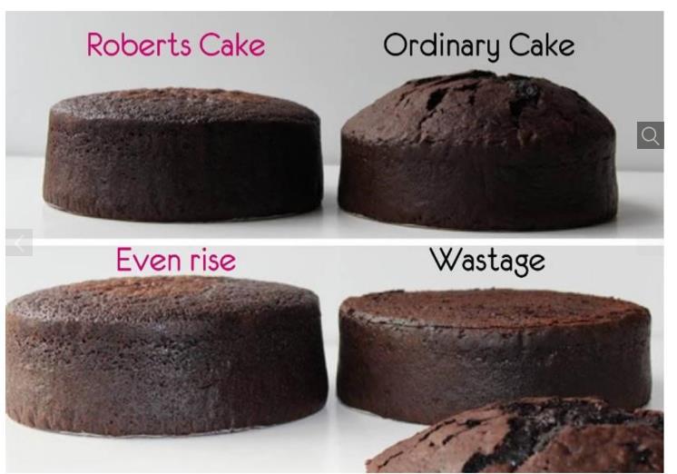 Baking Premix Professional Chocolate Mud Cake Mix 1kg Roberts