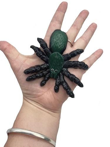 Animal Sticky Stretchy Spider 8cm