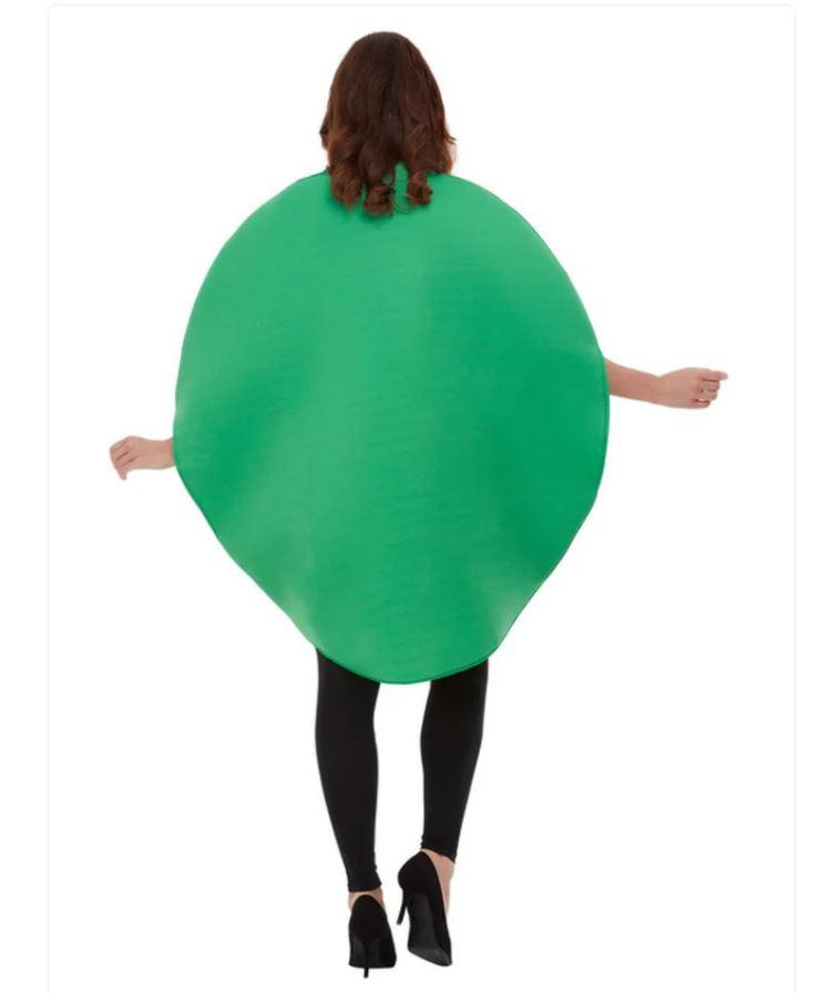 Costume Adult Fruit Watermelon Tabard