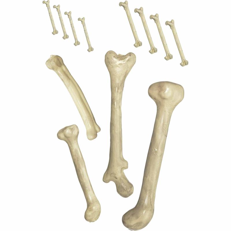 Bag Of Bones Halloween Prop Plastic