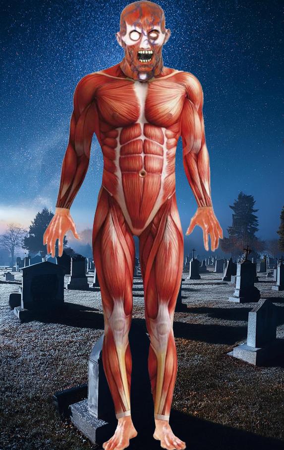 Costume Adult Anatomy Man Stretchy Suit