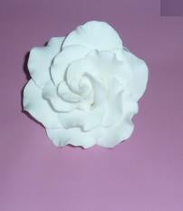 Rose Large White 8cm Profesional